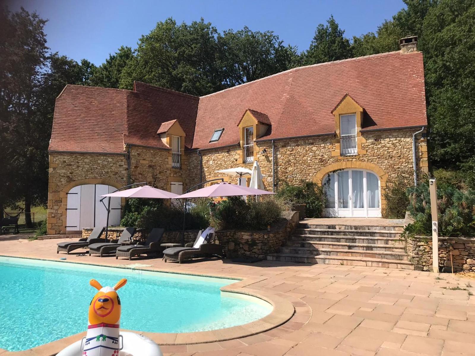 Luxury Chateau W. Pool & Hot Tub In Dordogne Beynac-et-Cazenac Exteriör bild